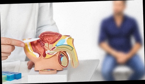 Achat médicament prostate